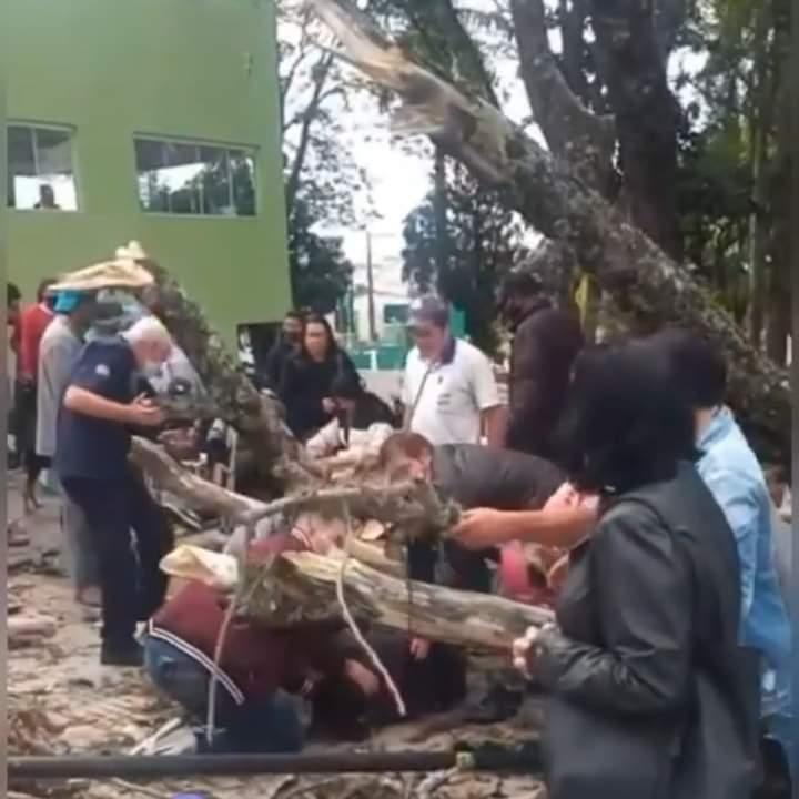 Árvore cai em praça de Itapeva e deixa um ferido