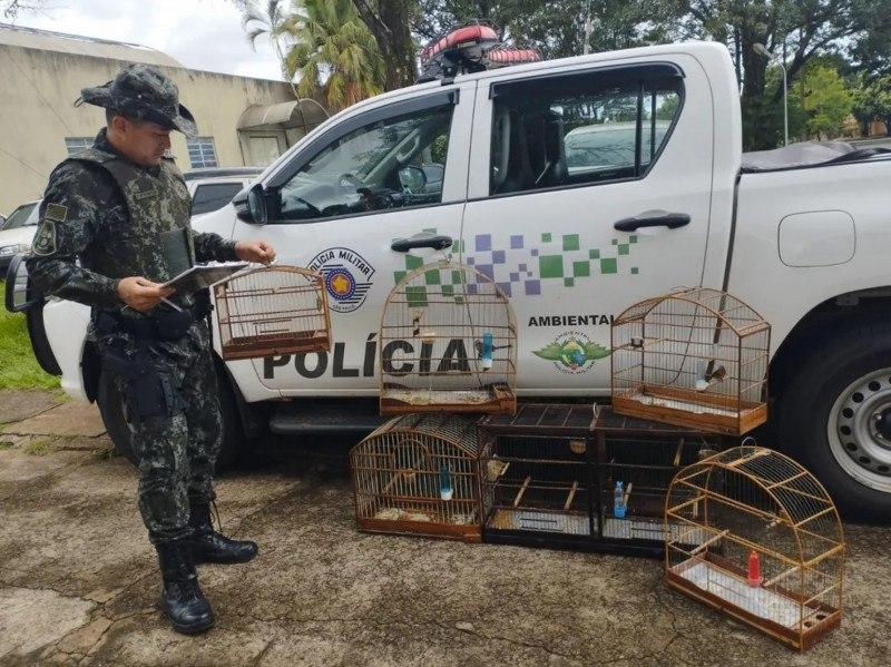 Polícia Ambiental resgatou mais de 4 mil animais em 2023.