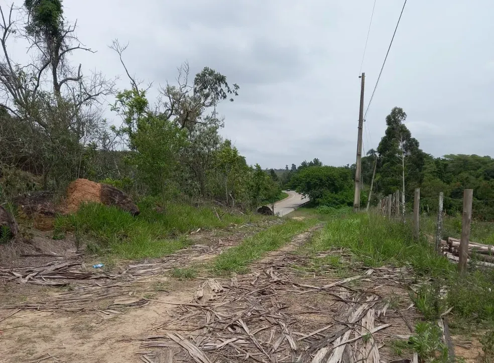 Corpo de mulher em estado de decomposição é encontrado à beira de rodovia em Pilar do Sul, SP