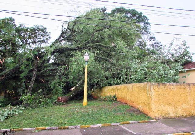 Avaré (SP) Registra Mais de 20 Moradores Desalojados e 60 Casas Danificadas após Temporal