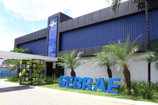 Sebrae Oferece Cursos Online Gratuitos com Inscrições Abertas