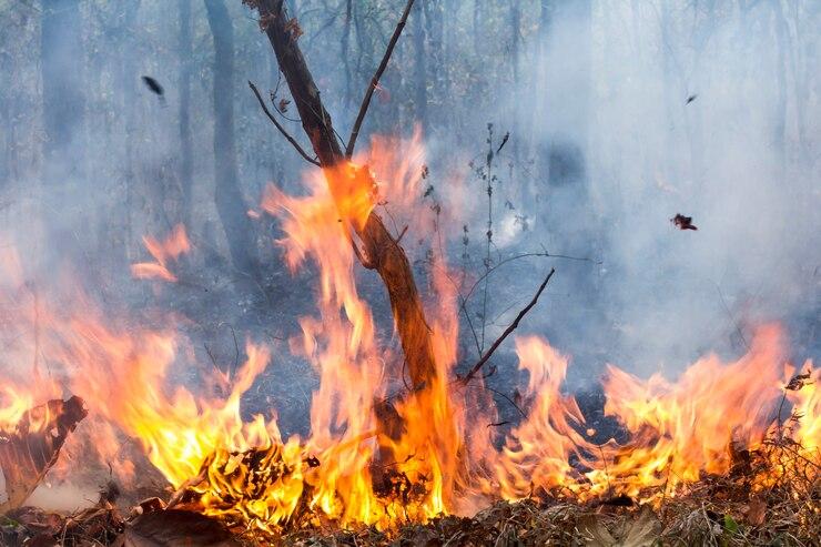 Corpo é Encontrado Após Incêndio em Bairro Rural de Angatuba