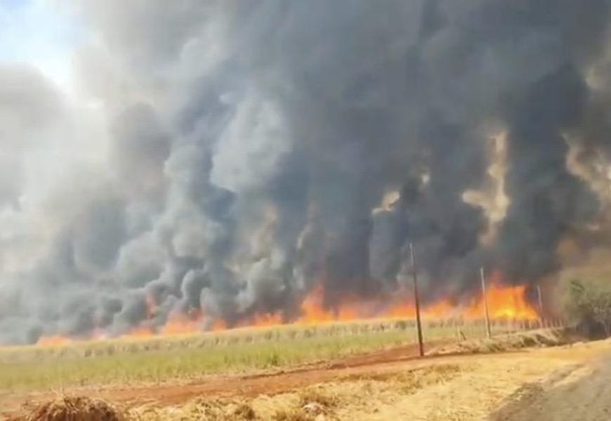 Incêndios recordes em São Paulo mobilizam governo e deixam saldo de mortos e feridos