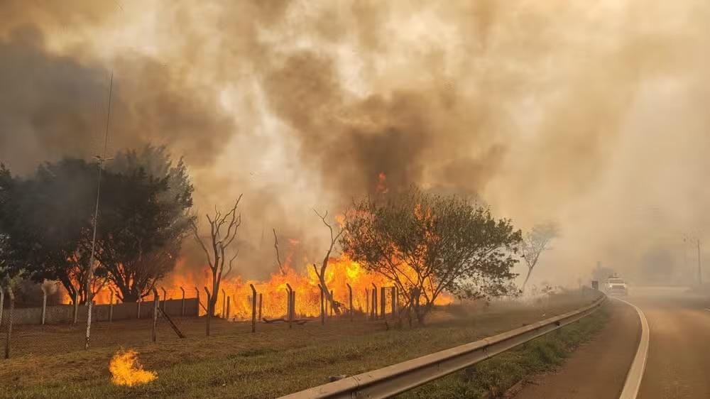Defesa Civil de SP emite alerta de risco elevado de incêndios até quinta-feira (26)