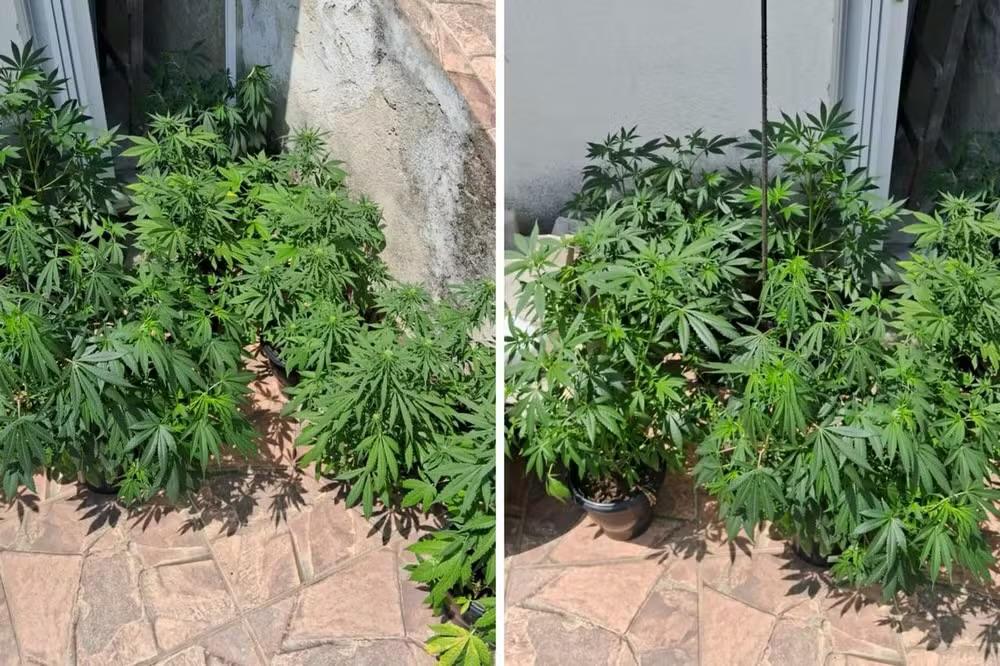 Homem é preso por tráfico de drogas em Várzea Paulista