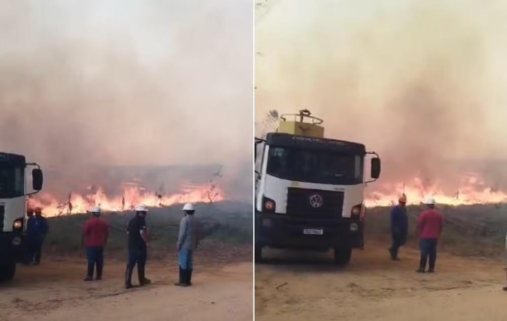 Incêndios atingem fazenda de eucaliptos e áreas de vegetação em cidades do interior de SP