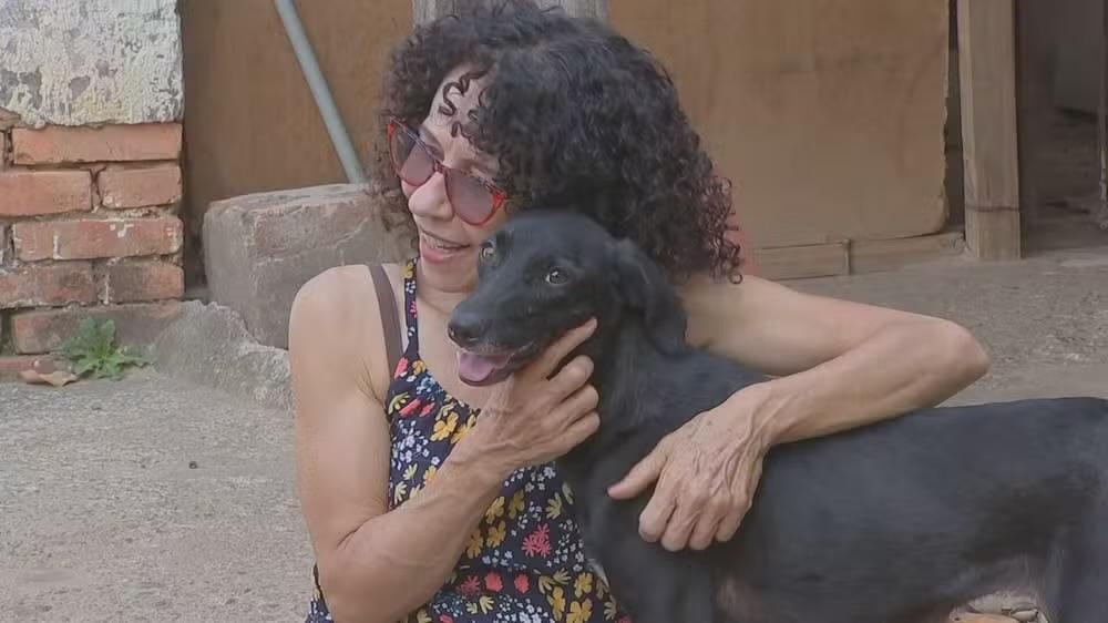 Mãe e filha lutam contra despejo e tentam encontrar novo lar para 13 cachorros em Sorocaba
