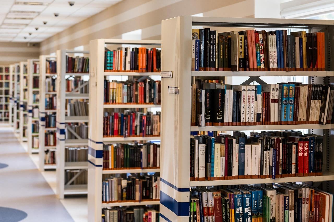 Regulamentação da Política de Leitura visa reverter queda de leitores no Brasil