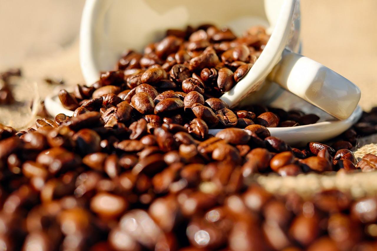 Alta no preço do café reflete crise climática e impactos na safra mundial