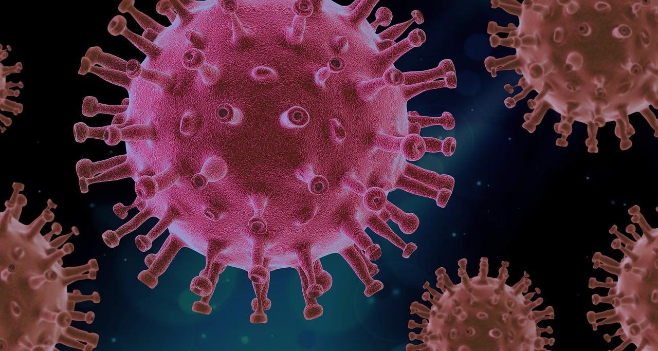 Nova variante XEC do Sars-CoV-2 é detectada no Brasil e acende alerta entre especialistas
