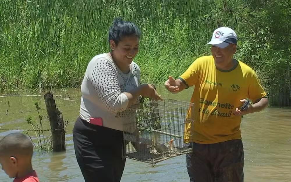 Família enfrenta enchente e retorna para resgatar calopsita em Boituva (SP)