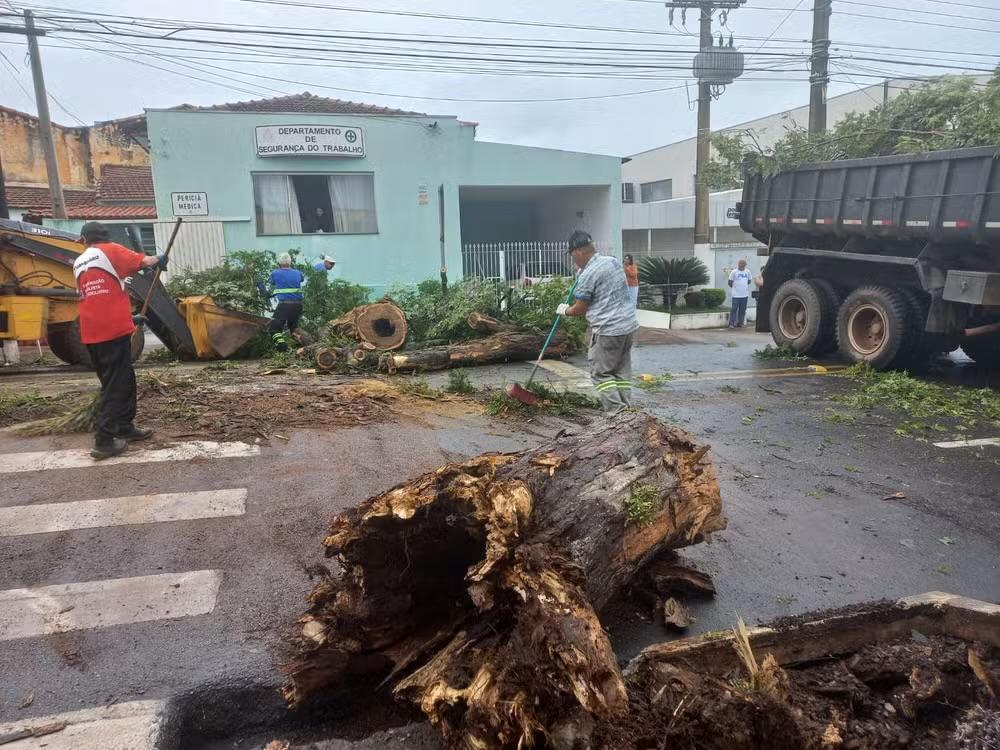 Árvore cai em frente ao Poupatempo de Itapetininga após forte chuva