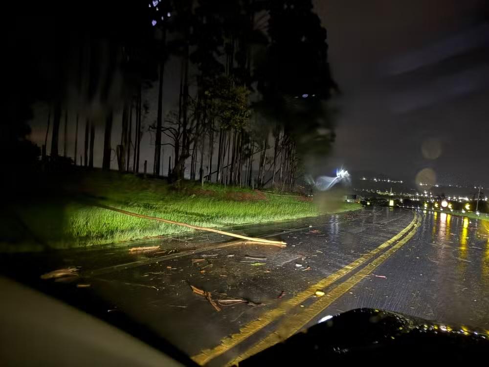 Chuva forte derruba árvores e causa transtornos em Guareí