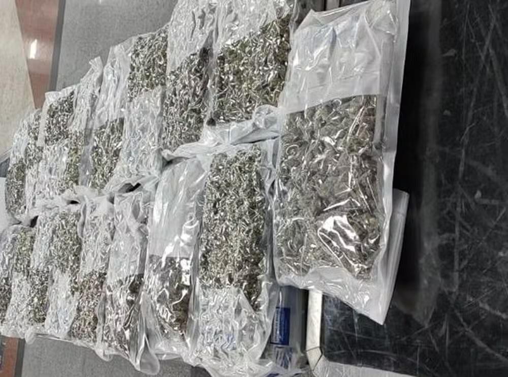 Homem é preso com quase 10 quilos de “supermaconha” no Aeroporto de Salvador