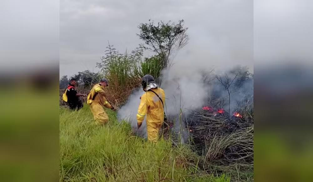 Incêndio em vegetação atinge 12 hectares e assusta moradores em Boituva