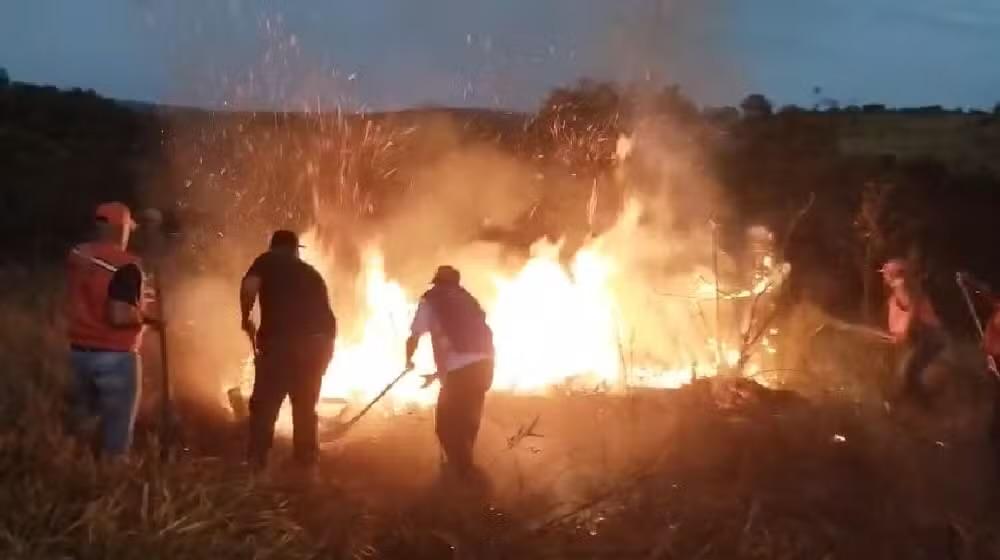Incêndio às margens de estrada destrói área de um hectare em Avaré (SP)