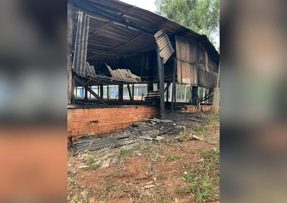 Incêndio em granja mata mais de 17 mil pintinhos em Avaré (SP)