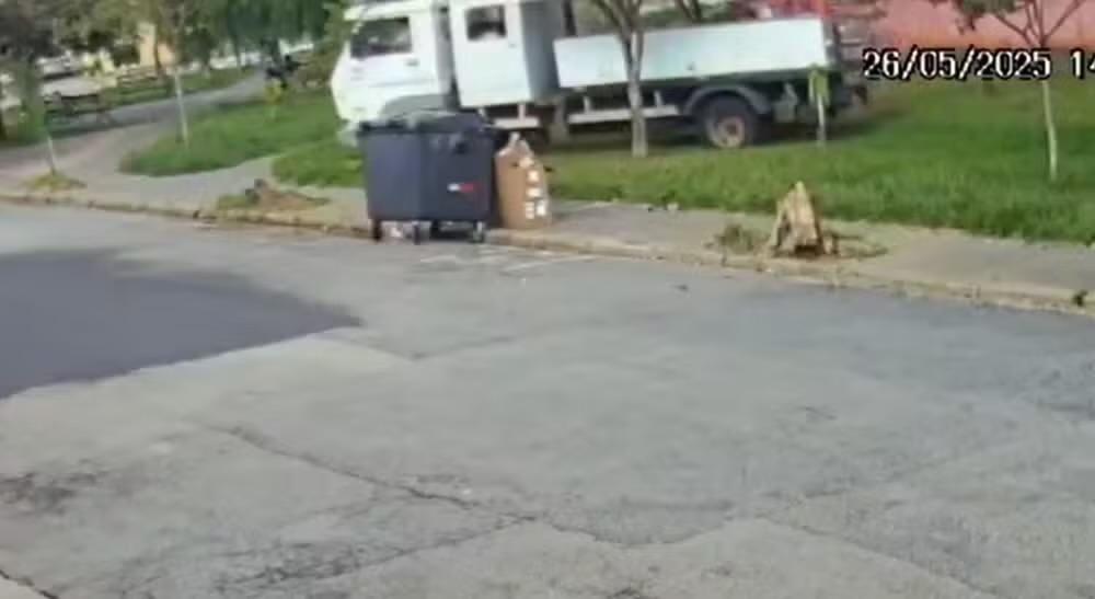Morador denuncia que caminhão da prefeitura derrubou palmeira plantada por ele em Sorocaba (SP)
