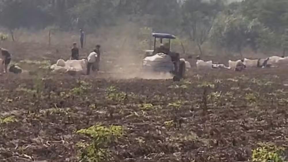 Produtor rural de Tatuí pagará R$ 2 milhões por trabalho análogo à escravidão com adolescentes