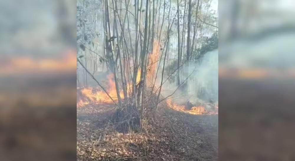 Incêndio atinge área da Serra do Japi e já destruiu o equivalente a 21 campos de futebol em Jundiaí