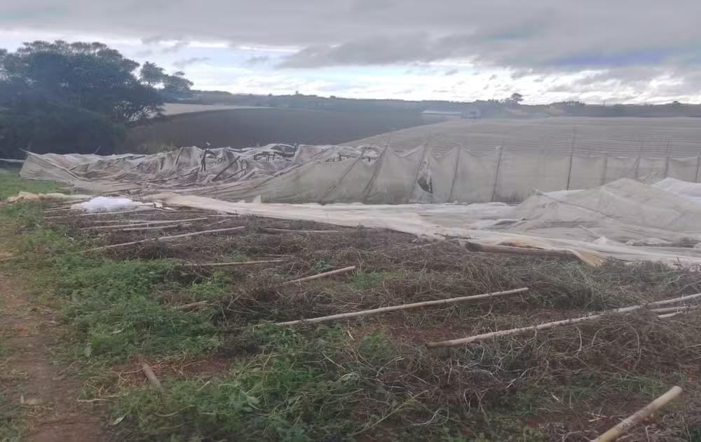 Temporal com ventos de até 80 km/h causa danos em São Miguel Arcanjo
