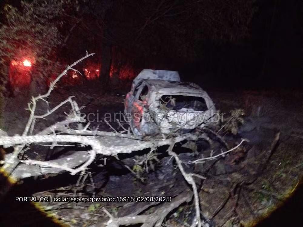 Passageiro morre em acidente na SP-300 em Tietê; carro capotou, bateu em árvore e pegou fogo