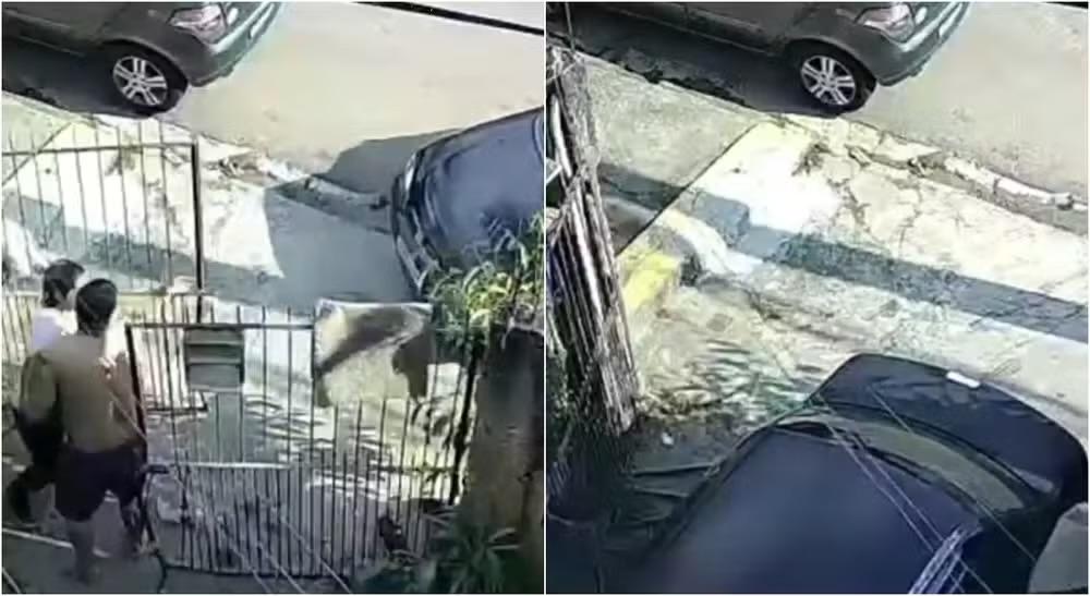 Homem é preso após tentar atropelar irmã e cunhado em Jundiaí