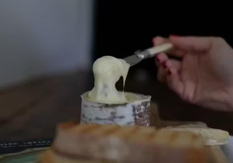Queijo catarinense “Morro Azul” entra para ranking dos 100 melhores do mundo