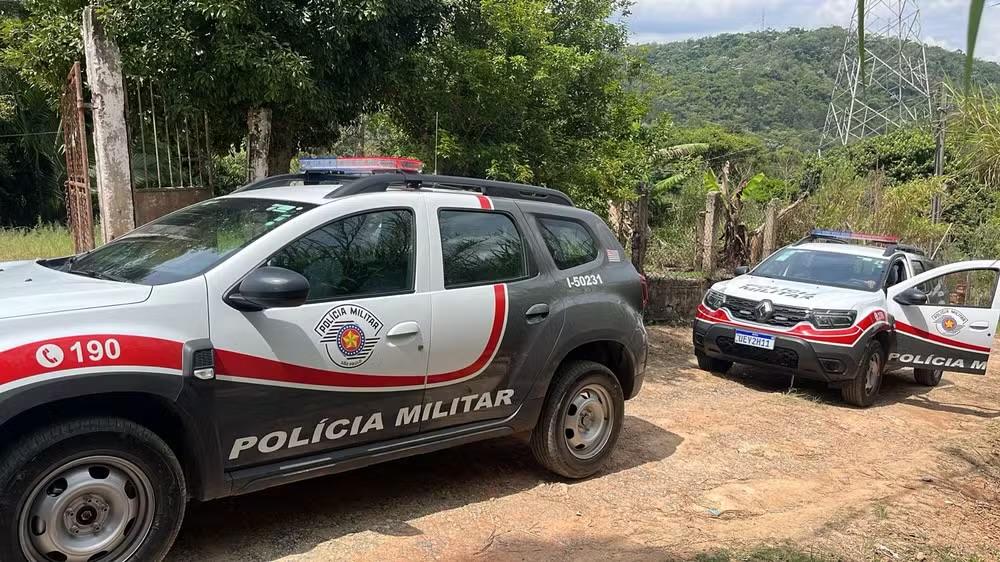 Polícia investiga morte de dois pitbulls após suspeita de maus-tratos em sítio de São Roque