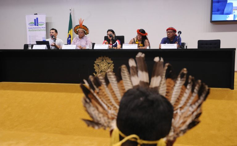 Lideranças defendem indígenas em espaços de decisão e proteção de territórios em seminário na Câmara