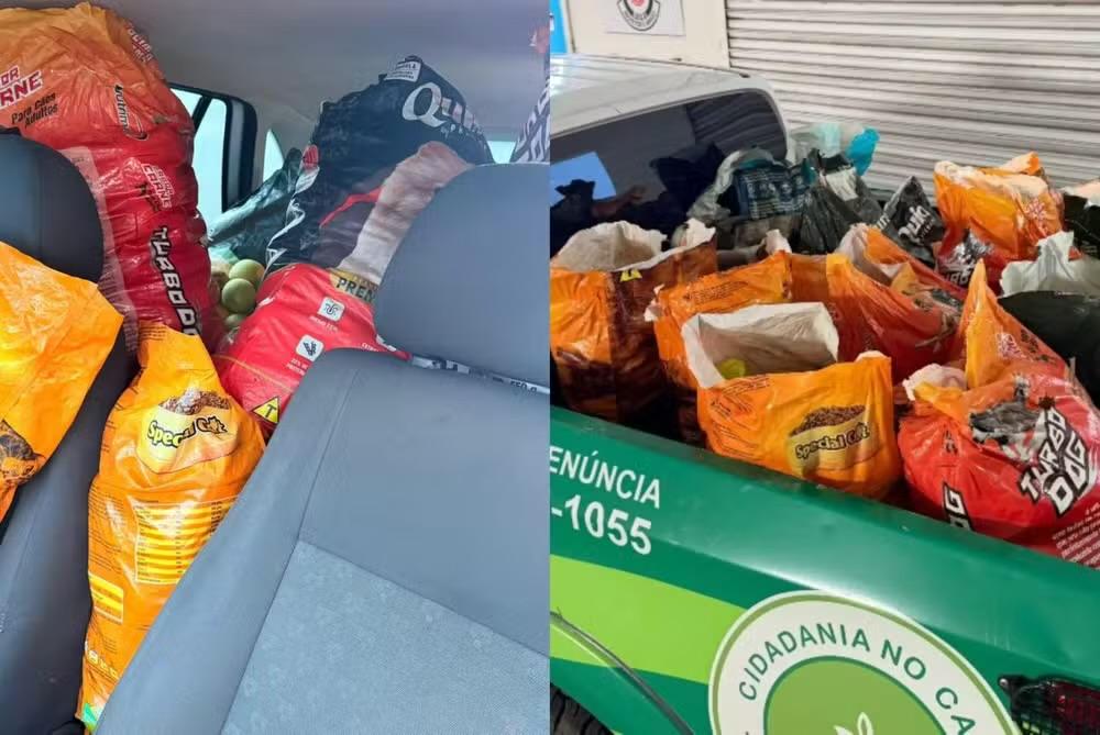 GCM recupera 200 quilos de laranjas furtadas de fazenda em Buri