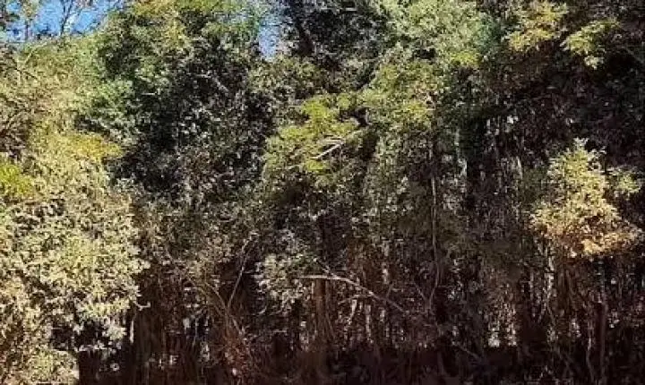 Asfalto do Salto avança e DER abre licitação de R$ 32,1 milhões para pavimentação de vicinais em Campina do Monte Alegre