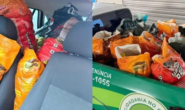 GCM recupera 200 quilos de laranjas furtadas de fazenda em Buri