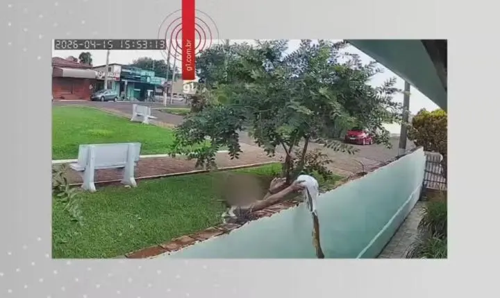 Vizinha é denunciada por perseguição e ataques com substâncias em Arandu (SP)